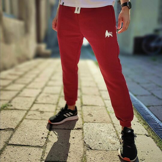 Tepláky jogger Dub Lion | bordo