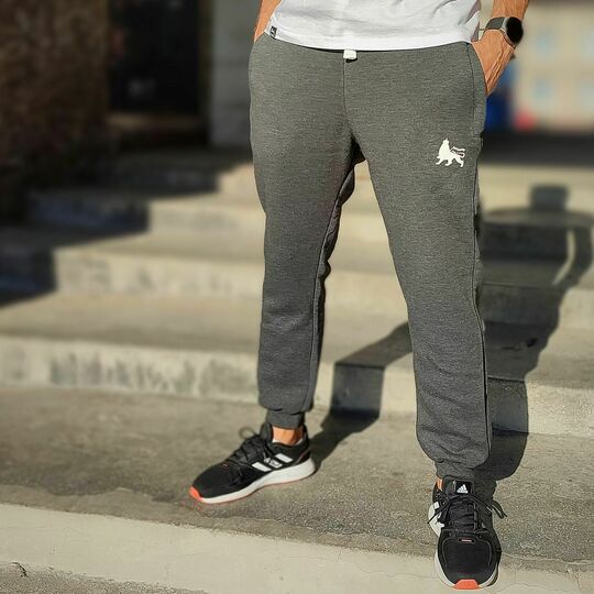 Dresy jogger Dub Lion | grafit