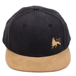 Snapback šiltovka Lion of Judah | Back & Camel