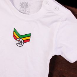 Rasta tshirt | lion