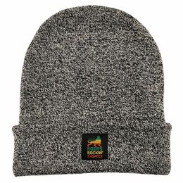 Zimná čiapka beanie Roots Rockin' Raspect | sivý melanž